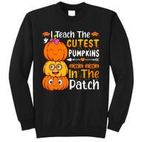 I Teach Cutest Pumpkins In Patch Teacher Halloween Sweatshirt