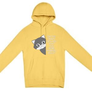 IM The Crazy Cat Lady That You Were Warned About Kamala 47 Premium Pullover Hoodie