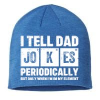 I Tell Dad Jokes Periodically Elet Vintage FatherS Day Funny Gift Sustainable Beanie