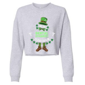 Im The Dental Hygienist Leprechaun St Patricks Day Gift Cropped Pullover Crew