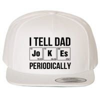 I Tell Dad Jokes Periodically Wool Snapback Cap