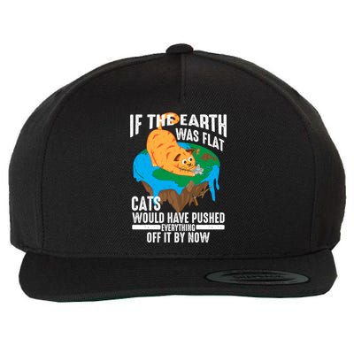 If The Earth Was Flat Cool Planet Cats Funny Gift Wool Snapback Cap