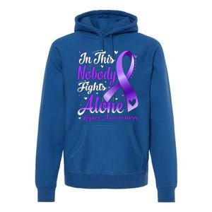 In This Family Nobody Fight Alone Lupus Awareness Great Gift Premium Hoodie