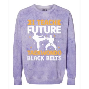 I Teach Future Taekwondo Black Belts Martial Arts Tkd Gift Colorblast Crewneck Sweatshirt