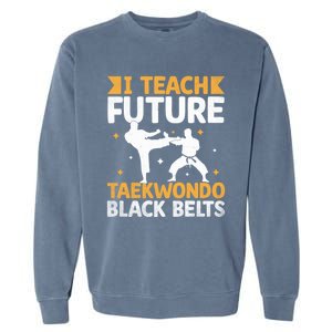 I Teach Future Taekwondo Black Belts Martial Arts Tkd Gift Garment-Dyed Sweatshirt