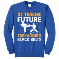 I Teach Future Taekwondo Black Belts Martial Arts Tkd Gift Sweatshirt