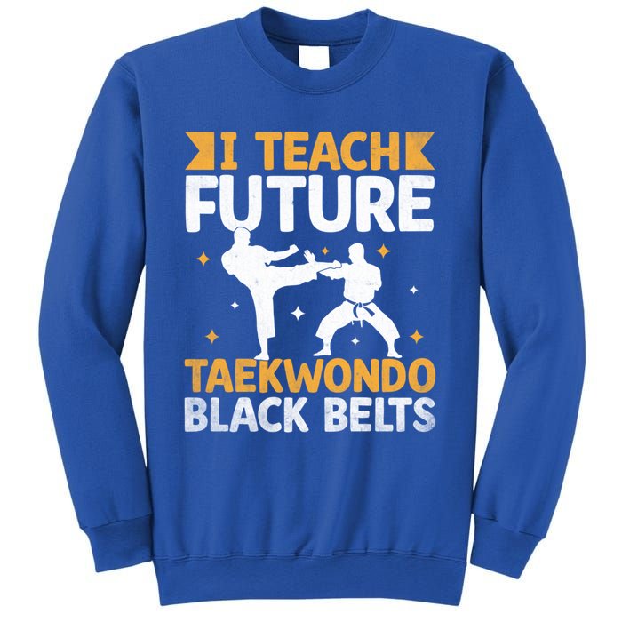 I Teach Future Taekwondo Black Belts Martial Arts Tkd Gift Sweatshirt