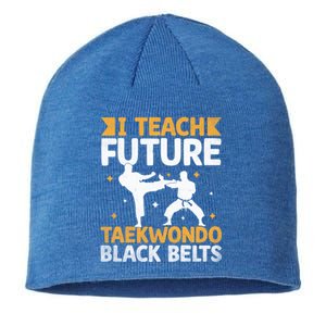 I Teach Future Taekwondo Black Belts Martial Arts Tkd Gift Sustainable Beanie