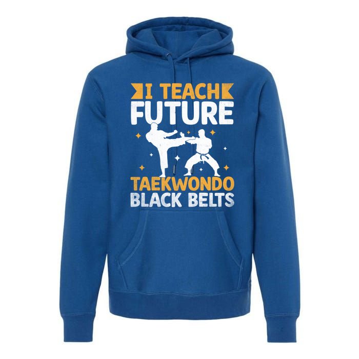 I Teach Future Taekwondo Black Belts Martial Arts Tkd Gift Premium Hoodie