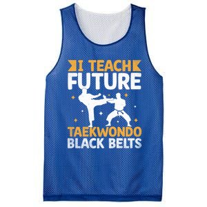 I Teach Future Taekwondo Black Belts Martial Arts Tkd Gift Mesh Reversible Basketball Jersey Tank