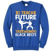 I Teach Future Taekwondo Black Belts Martial Arts Tkd Gift Tall Sweatshirt