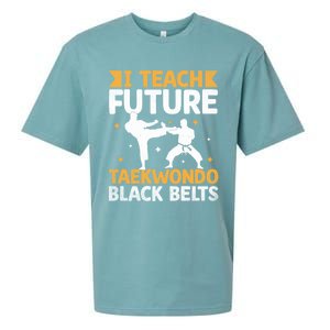 I Teach Future Taekwondo Black Belts Martial Arts Tkd Gift Sueded Cloud Jersey T-Shirt