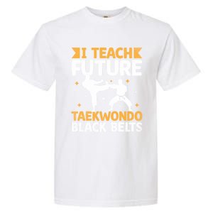 I Teach Future Taekwondo Black Belts Martial Arts Tkd Gift Garment-Dyed Heavyweight T-Shirt