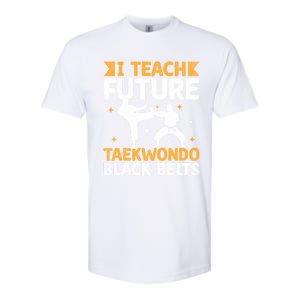 I Teach Future Taekwondo Black Belts Martial Arts Tkd Gift Softstyle CVC T-Shirt