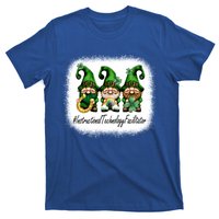 Instructional Technology Facilitator Gnomes St Patricks Day Gift T-Shirt