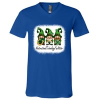 Instructional Technology Facilitator Gnomes St Patricks Day Gift V-Neck T-Shirt