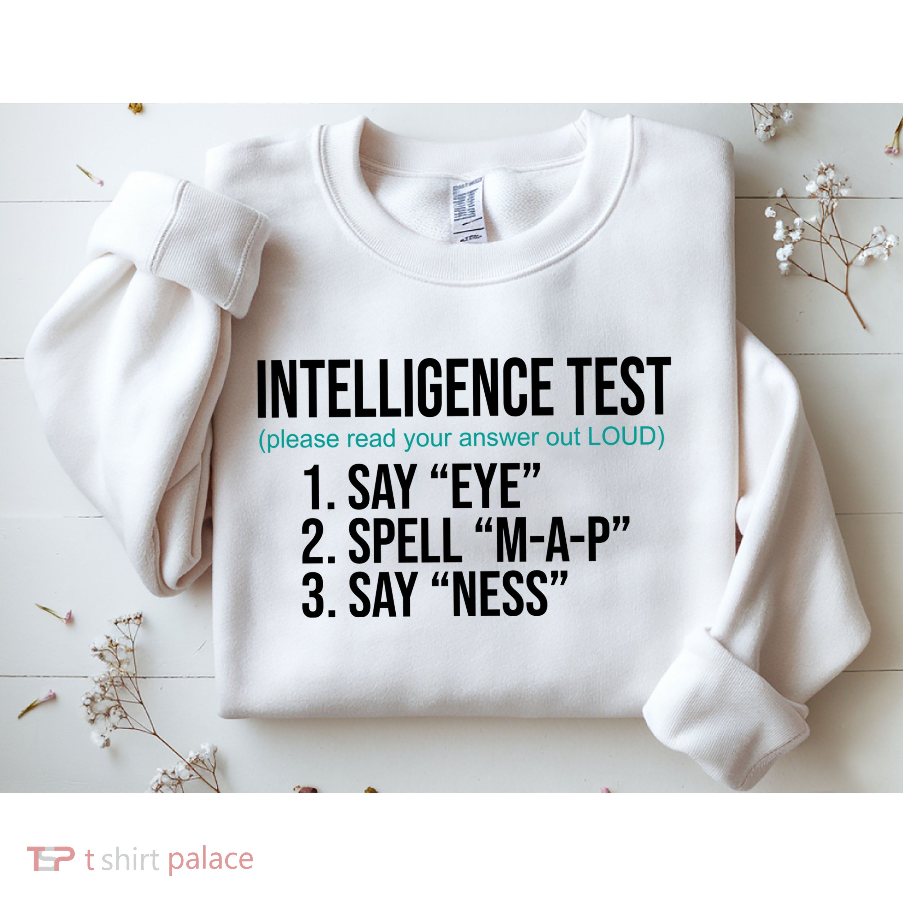 Intelligence Test Funny Message Sweatshirt
