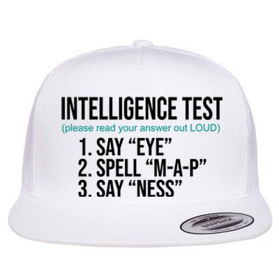 Intelligence Test Funny Message Flat Bill Trucker Hat