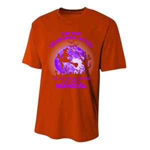 Im The Grandma Witch Like A Normal Grandma Halloween Costume Gift Performance Sprint T-Shirt