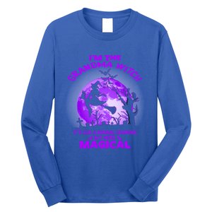 Im The Grandma Witch Like A Normal Grandma Halloween Costume Gift Long Sleeve Shirt