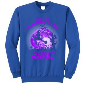 Im The Grandma Witch Like A Normal Grandma Halloween Costume Gift Sweatshirt