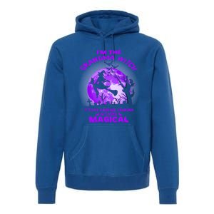 Im The Grandma Witch Like A Normal Grandma Halloween Costume Gift Premium Hoodie