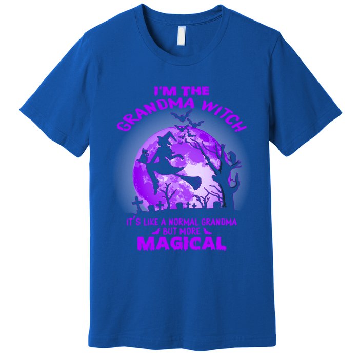 Im The Grandma Witch Like A Normal Grandma Halloween Costume Gift Premium T-Shirt