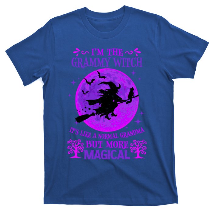 IM The Grammy Witch Like A Normal Grandma Halloween Great Gift T-Shirt