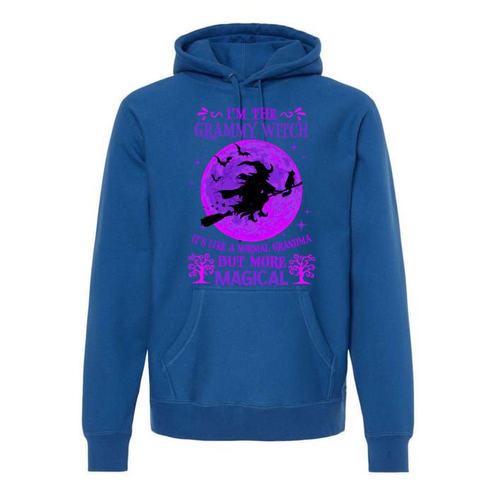 IM The Grammy Witch Like A Normal Grandma Halloween Great Gift Premium Hoodie