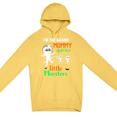 IM The Grand Mummy And I Love My Little Monsters Grandma Gift Premium Pullover Hoodie