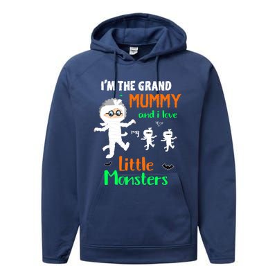 IM The Grand Mummy And I Love My Little Monsters Grandma Gift Performance Fleece Hoodie