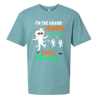 IM The Grand Mummy And I Love My Little Monsters Grandma Gift Sueded Cloud Jersey T-Shirt