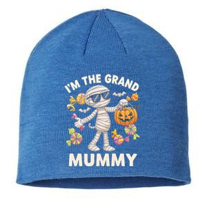 IM The Grand Mummy Halloween Mummy Candy Pumpkin Gift Sustainable Beanie