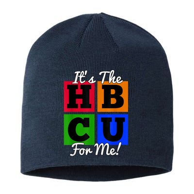 It's The HBCU For Me Apparel Sustainable Beanie