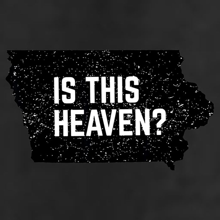 Is This Heaven No It’s Iowa Baseball Field Of Dreams 7 Panel Mesh Trucker Snapback Hat