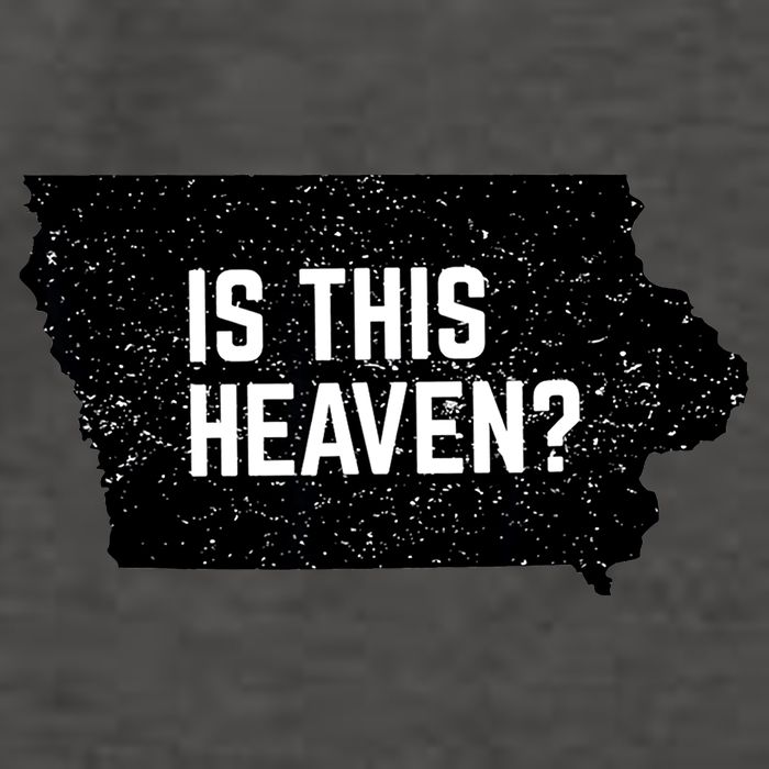 Is This Heaven No It’s Iowa Baseball Field Of Dreams Vector Backpack
