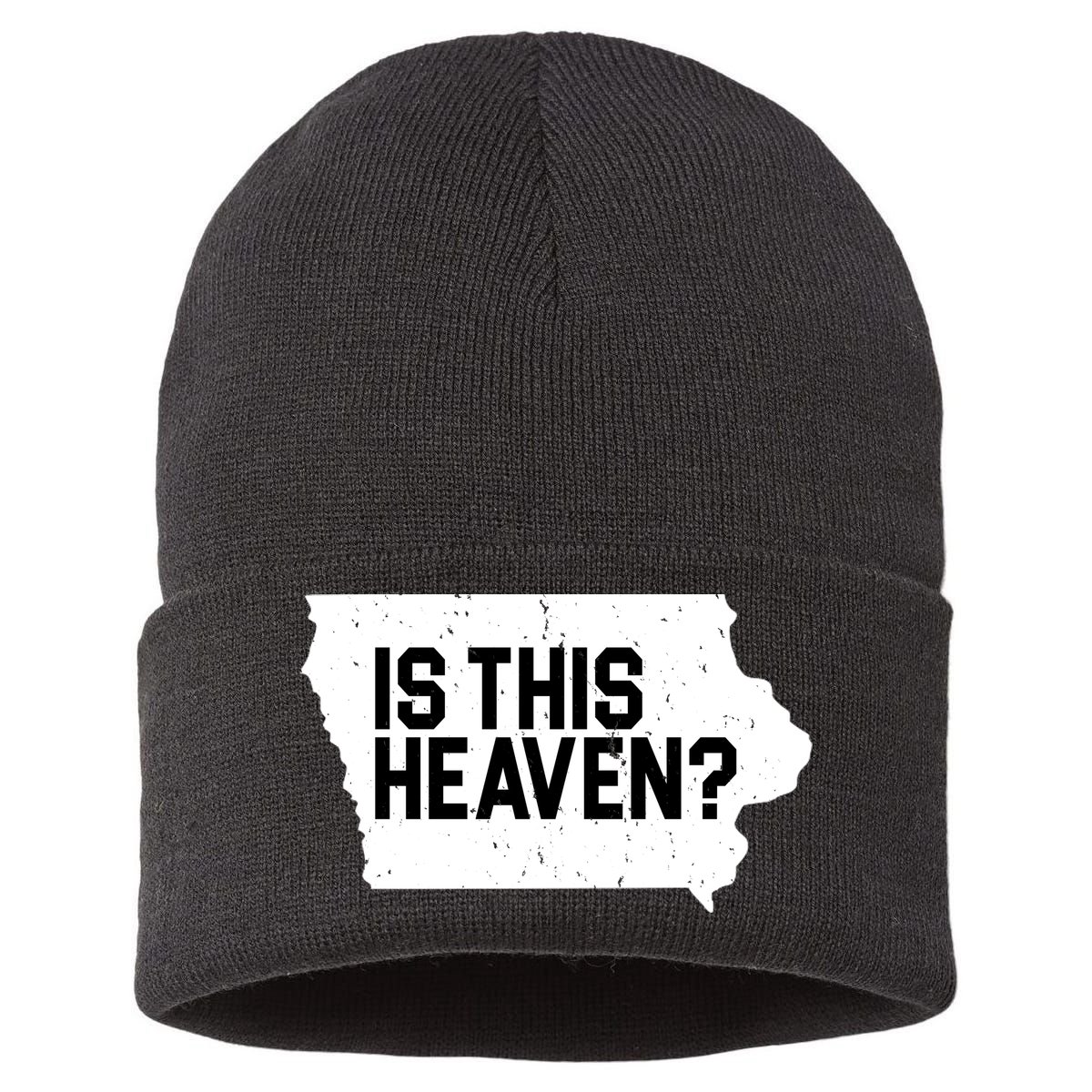 Is This Heaven Iowa Baseball Sustainable Knit Beanie