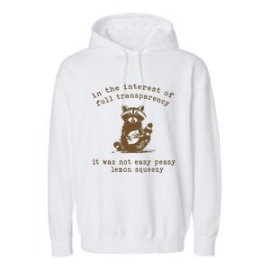 In The Insterest Of Full Transparency Funny Retro 90 Raccoon Garment-Dyed Fleece Hoodie