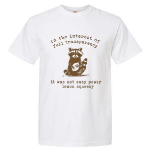 In The Insterest Of Full Transparency Funny Retro 90 Raccoon Garment-Dyed Heavyweight T-Shirt