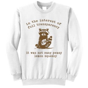 In The Insterest Of Full Transparency Funny Retro 90 Raccoon Sweatshirt