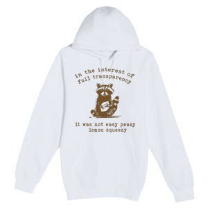 In The Insterest Of Full Transparency Funny Retro 90 Raccoon Premium Pullover Hoodie