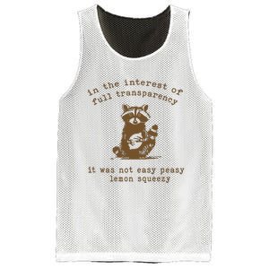 In The Insterest Of Full Transparency Funny Retro 90 Raccoon Mesh Reversible Basketball Jersey Tank