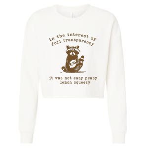 In The Insterest Of Full Transparency Funny Retro 90 Raccoon Cropped Pullover Crew