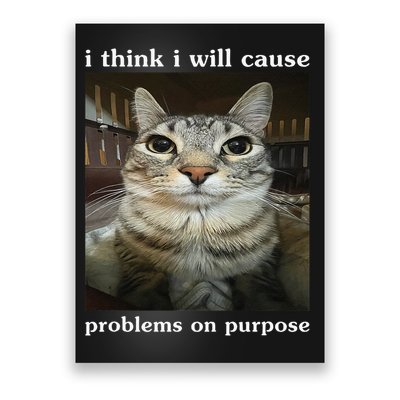 I Think I Will Cause Problems On Purpose Cat Funny Poster