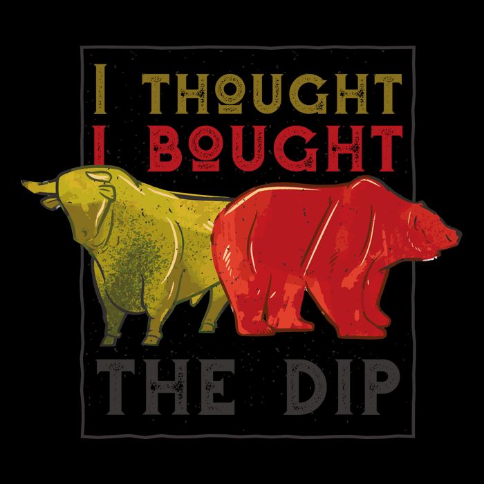 I Thought I Bought The Dip Bitcoin 16 in Basic Backpack