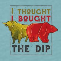I Thought I Bought The Dip Bitcoin Sueded Cloud Jersey T-Shirt