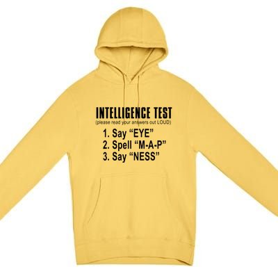 Intelligence Test Premium Pullover Hoodie