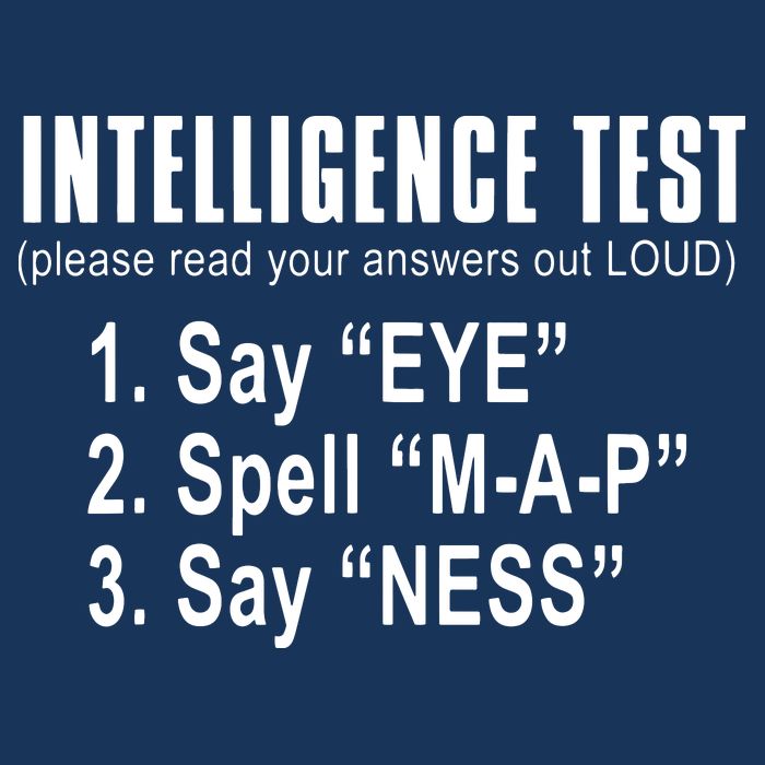 Intelligence Test Magnet