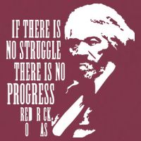 If There Is No Struggle There Is No Progress 16oz Travel Tumbler