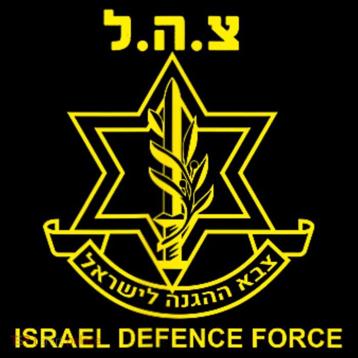 Idf Tzahal Israel Defense Forces Tzahal Krav Maga T-Shirt